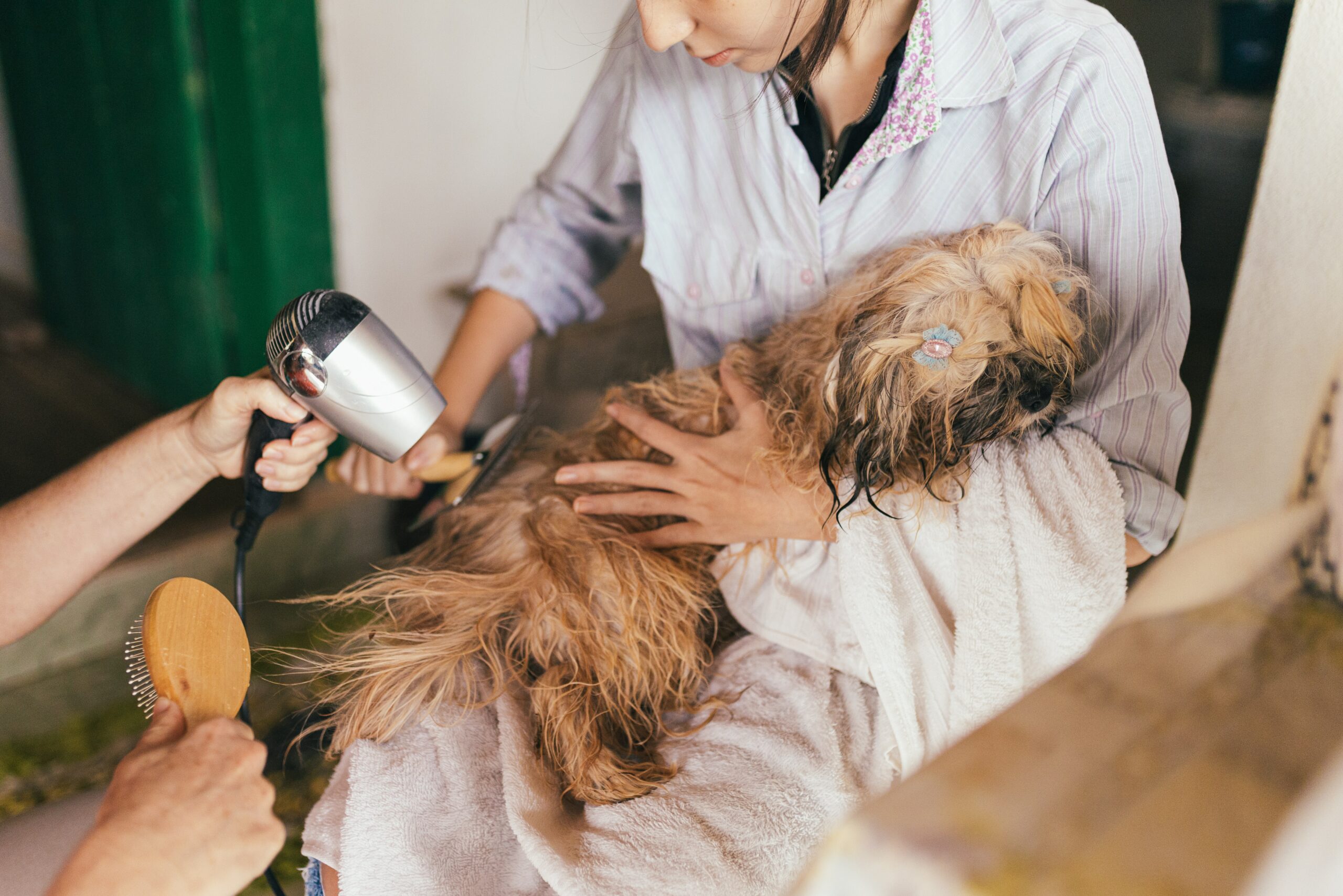 Dog Shampoo