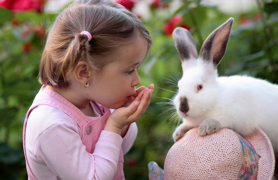 girl with rabbit