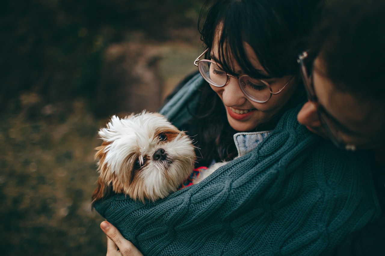 autumn pets