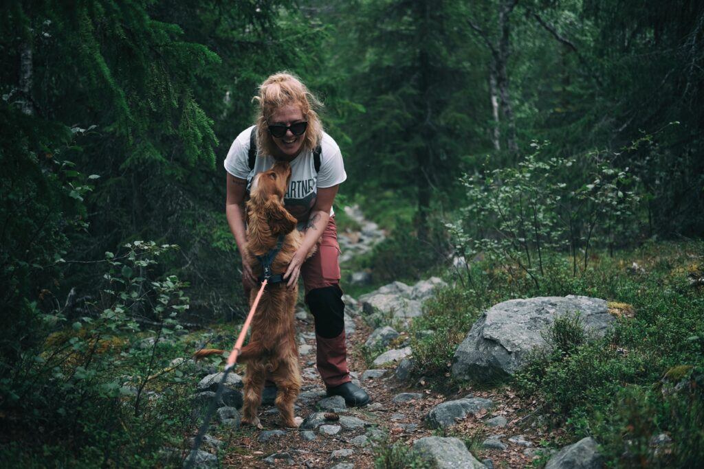 Hiking With Your Dog