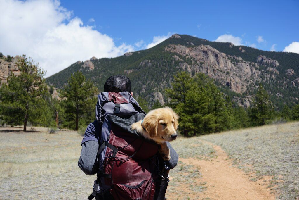 hiking